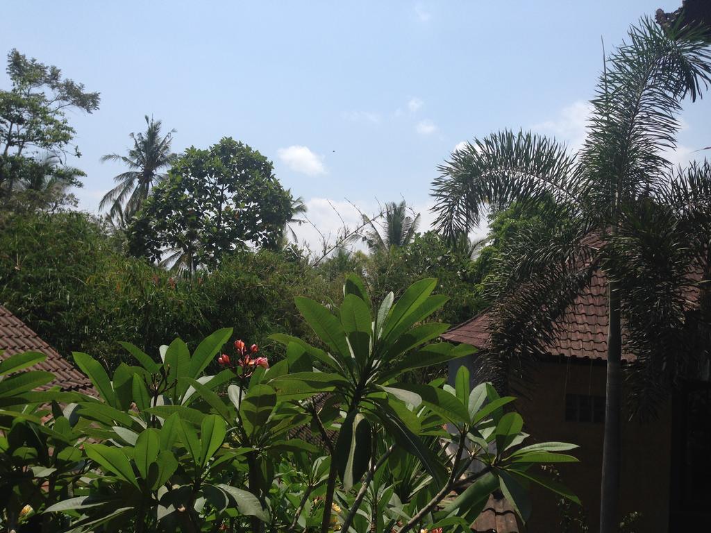 Ubud Rooms B&B Pokoj fotografie