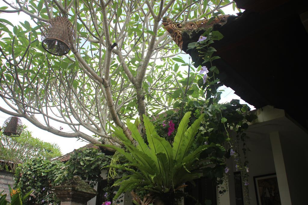 Ubud Rooms B&B Exteriér fotografie